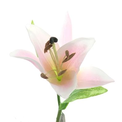 DPI Lilienblüte Pink auf kurzem Stiel 35 cm - Kunstblumen