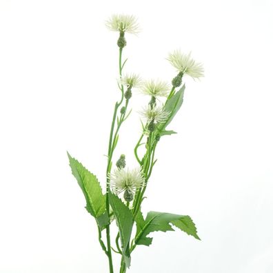 DPI Mini-Disteln Creme ca. 55 cm - Kunstblumen
