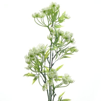 DPI Anethumstiel Weiß 70 cm - Kunstblumen
