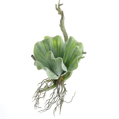 GASPER Anhänger Ast mit aufsitzender Sukkulente Grün 33 cm - Kunstpflanzen