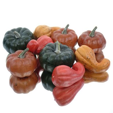 Posiwio Kürbis 9er Set bunt Styropor, 4xD4,5xH8,5cm/3xD7xH6cm/2xD8xH6,5cm