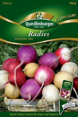 Quedlinburger Radies Ostereier Mix - Gemüsesamen