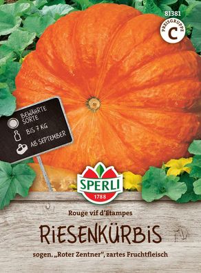 Sperli Kürbis Rouge vif d'Etampes - Gemüsesamen