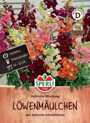 Sperli Löwenmäulchen Halbhohe Mischung - Blumensamen
