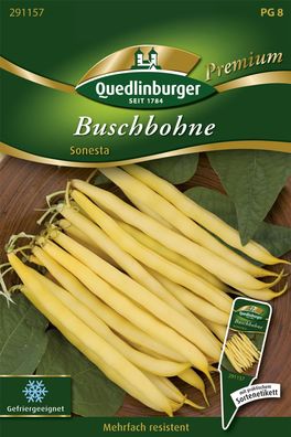 Quedlinburger Buschbohne Sonesta - Gemüsesamen