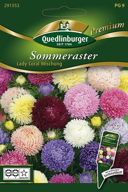 Quedlinburger Sommeraster Lady Coral Mischung - Premium Blumensamen