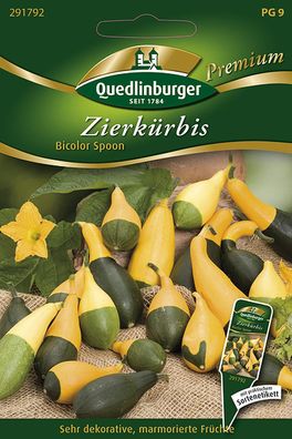 Quedlinburger Zierkürbis Bicolor Spoon - Blumensamen