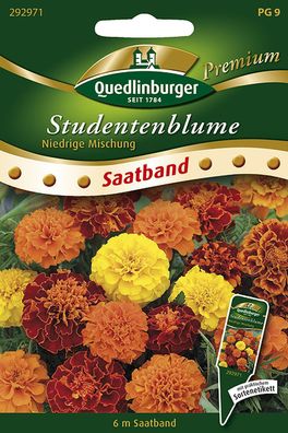 Quedlinburger Studentenblume niedrige Mischung Saatband 6 Meter - Blumensamen