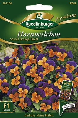 Quedlinburger Hornveilchen Sorbet Orange Duett - Blumensamen