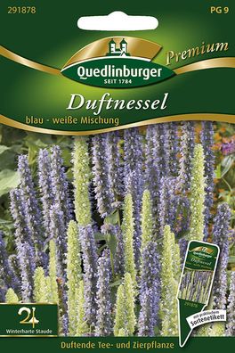 Quedlinburger Duftnessel blau-weiße Mischung - Premium Blumensamen