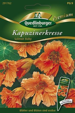 Quedlinburger Kapuzinerkresse Salmon Baby - Blumensamen