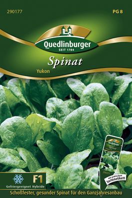 Quedlinburger Spinat Yukon F1-Hybride - Gemüsesamen