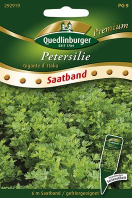 Quedlinburger Petersilie Gigante d' Italia Saatband 6 Meter - Kräutersamen