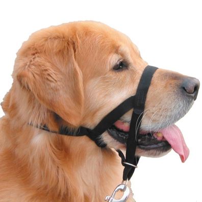 Nobby® Hunde Erziehungs- und Ausbildungshalfter Easy Leader L Schwarz Größe 3