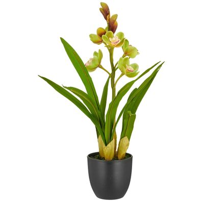 GASPER Cymbidie schwarzer Topf Ø 11,5 cm Grün 46 cm - Kunstpflanzen