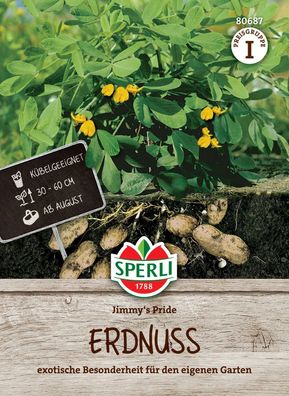 Sperli Erdnuss Jimmy's Pride