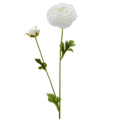GASPER Ranunkel Reinweiß Ø 8,5 cm 63 cm - Kunstblumen