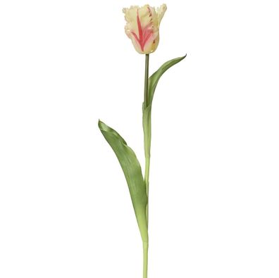 Everlands Papagei-Tulpe Creme & Rot Ø 6 cm 51 cm - Kunstblumen