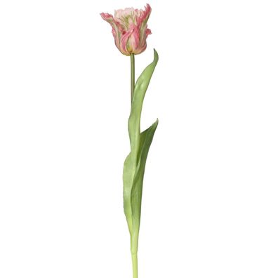 Everlands Papagei-Tulpe Rosa & Grün Ø 6 cm 51 cm - Kunstblumen