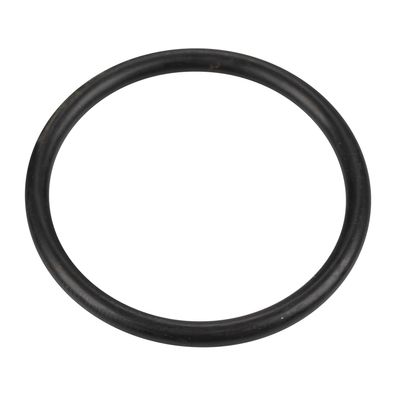 Original O-Ring Zündspule OE 14463980
