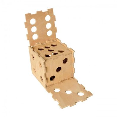 Cubiforms Dice in Dice