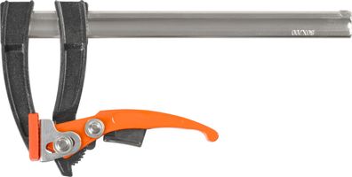 Ratschenspannklemme Strend Pro Premium, 80x200 mm