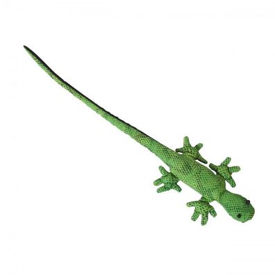 Sandtier Gecko Langschwanz