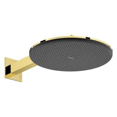 hansgrohe Raindance Alive S Kopfbrause 300 2jet mit Brausearm, Polished Gold Optic