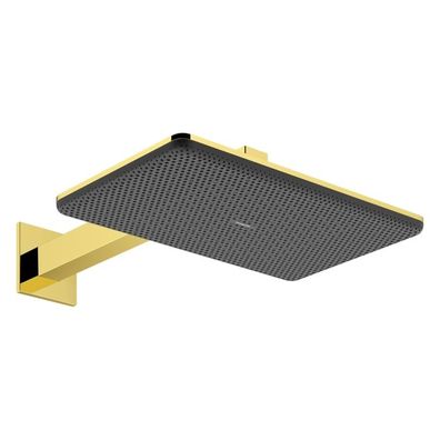 hansgrohe Raindance Alive Q Kopfbrause 210/340 2jet mit Brausearm, Polished Gold Opti
