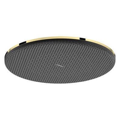 hansgrohe Raindance Alive S Kopfbrause 300 1jet, Polished Gold Optic