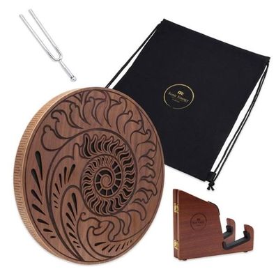 Meinl Sonic Energy Rain Disk 15 Zoll Ozean-Klang mit Stimmgabel