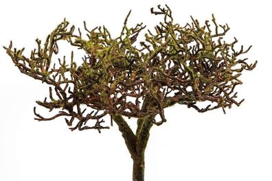 Fink WEIDE, Kunstblume, synthetische Faser, grün, braun 188100