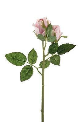 Fink LILLY, Kunstblume, Kunstfasern, rose, L. 10 cm, B. 1 cm, H. 40 cm Höhe: 40.00