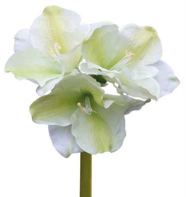 Fink Amaryllis, Kunstblume, Kunstfasern, hellgrün, creme, L. 62 cm Tiefe: 62.00cm