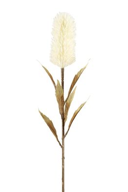 Fink Schilfkolben, Kunstblume, Kunstfasern, weiß, H. 77 cm Höhe: 77.00 cm 181063