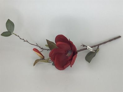 Formano Magnolie 40cm bordeaux sort