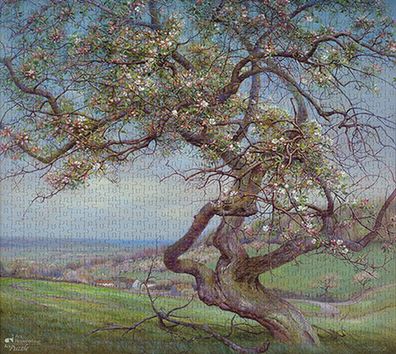 Blühender Apfelbaum