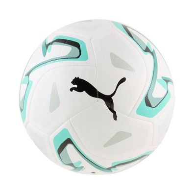 Puma Fußball Stellar Cup Lite 290 85068
