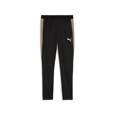 Puma Trainingshose IndividualFINAL Training Pants 661014