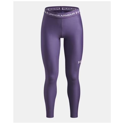 Under Armour Kinder Leggings HeatGear Legging 6009975