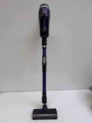 Akkusauger Rowenta X-Force Flex 8.60 Allergy 22V