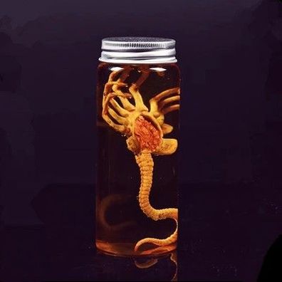 Alien Jar Xenomorph Specimen Facehugger Embryo Jar Movie Prop