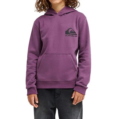 Quiksilver Kids Hoodie Omni Logo grape jam