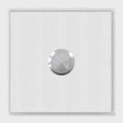 Behnke 21-2010 Modul 1 Taste unbel. V2A-Design