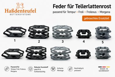 Feder für Tempur Froli Frolexus Morgana fest gebraucht Ersatzteil Lattenrost