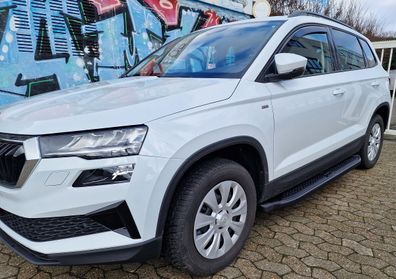 Trittbretter passend für Skoda Karoq ab Bj. 2017 Ares mit ABE - Farbe:
