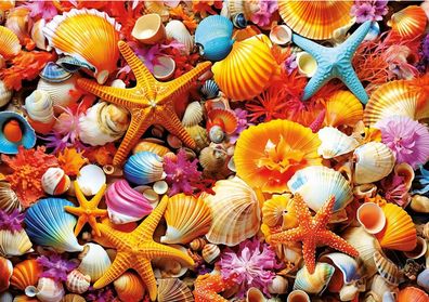 Bunte Muscheln