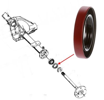 Simmerring für Radlager HA Ram 1500 Bj:94-06 ( mit 8,25" & 9.25" Tellerrad )