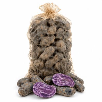Kartoffel Violetta festkochend violette Kartoffel 1-25 Kg Ernte 2026