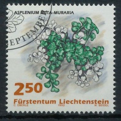 Liechtenstein 1992 Nr 1048 gestempelt X151F9E